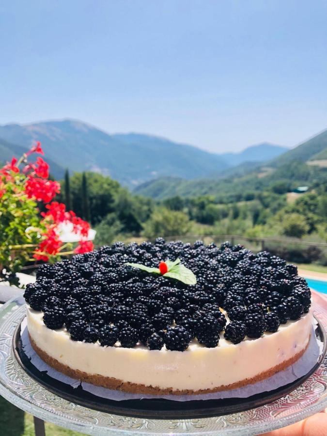 Agriturismo Roccagelli Vallo di Nera Dış mekan fotoğraf