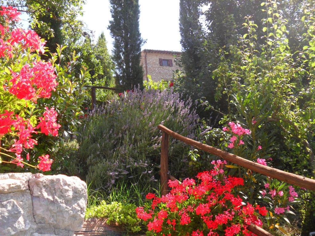 Agriturismo Roccagelli Vallo di Nera Dış mekan fotoğraf