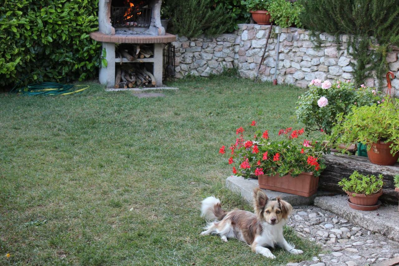 Agriturismo Roccagelli Vallo di Nera Dış mekan fotoğraf