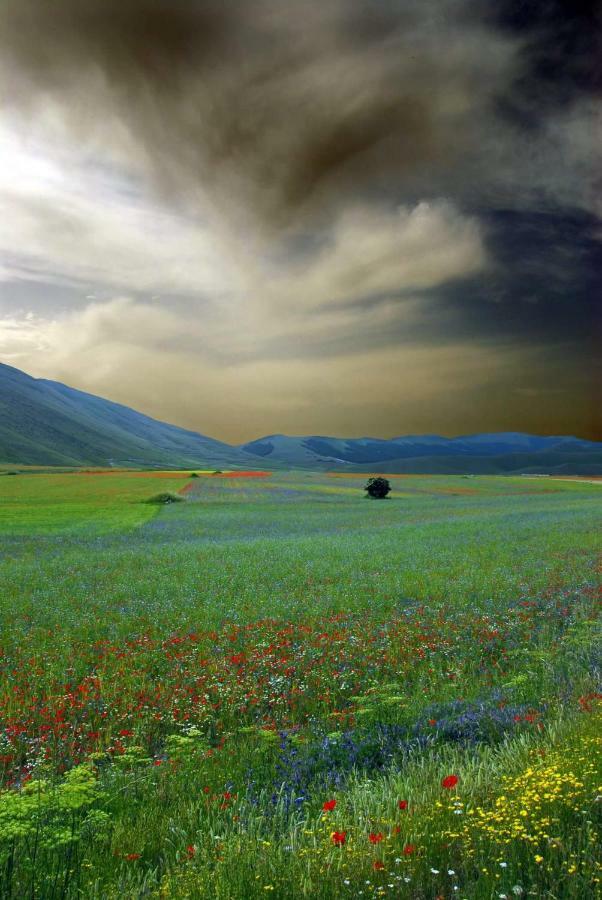Agriturismo Roccagelli Vallo di Nera Dış mekan fotoğraf